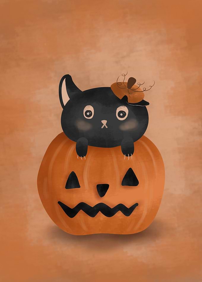 Kitty in the pumpkin