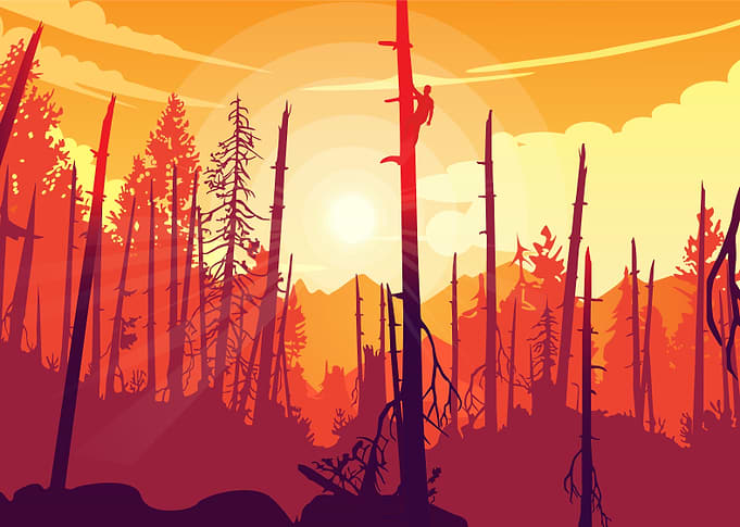 Sunset landscape