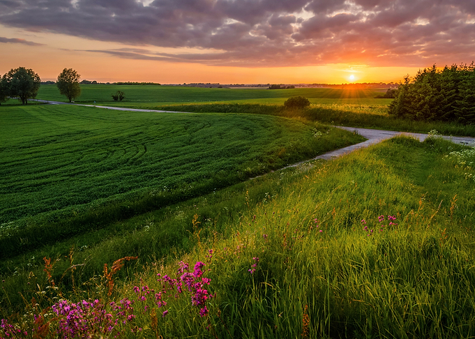 Nature landscape