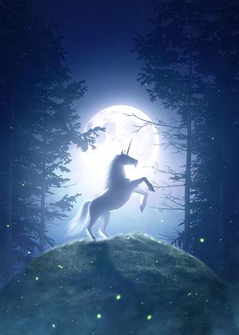 Moonlight Unicorn