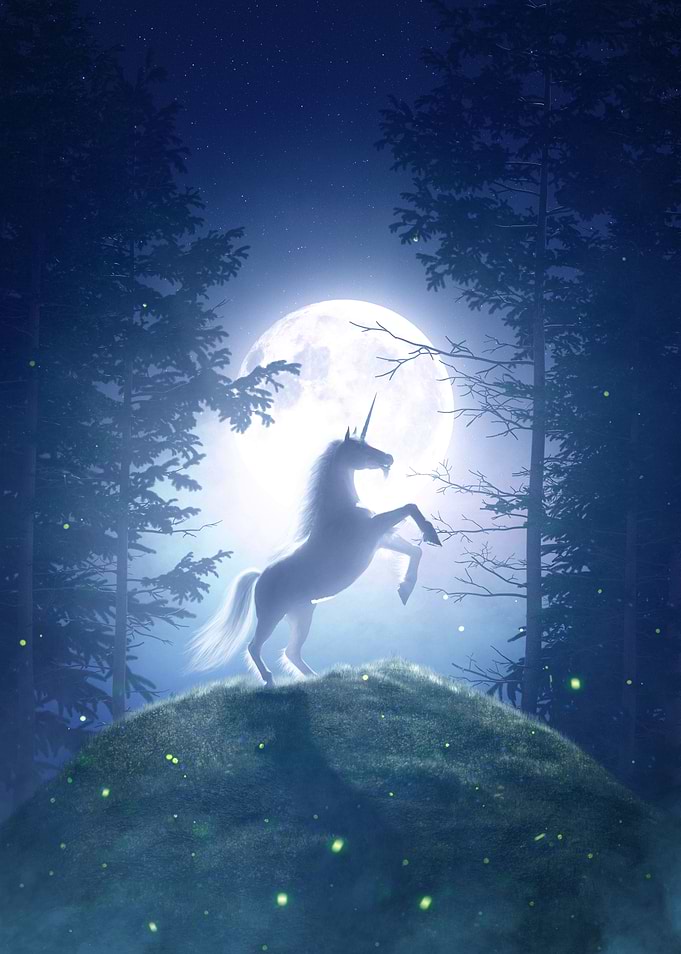 Moonlight Unicorn
