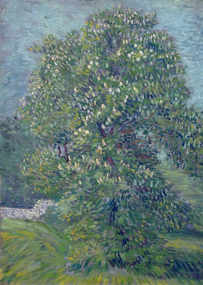 Chestnut Tree in Blossom