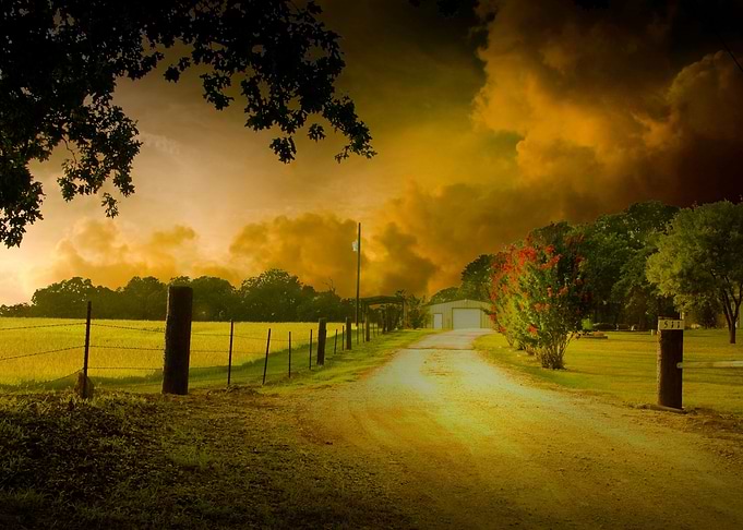 Nature artwork