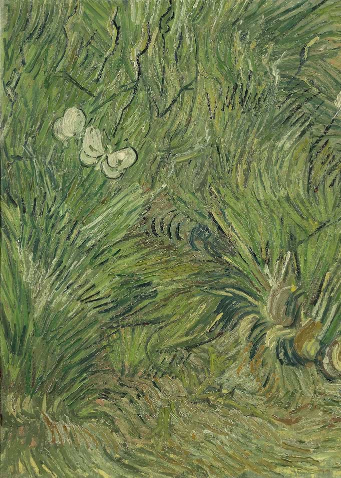 Garden with Butterflies