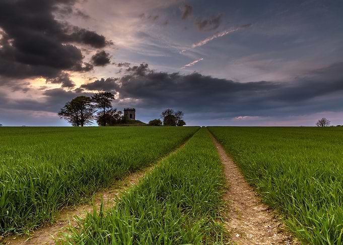 Field Road
