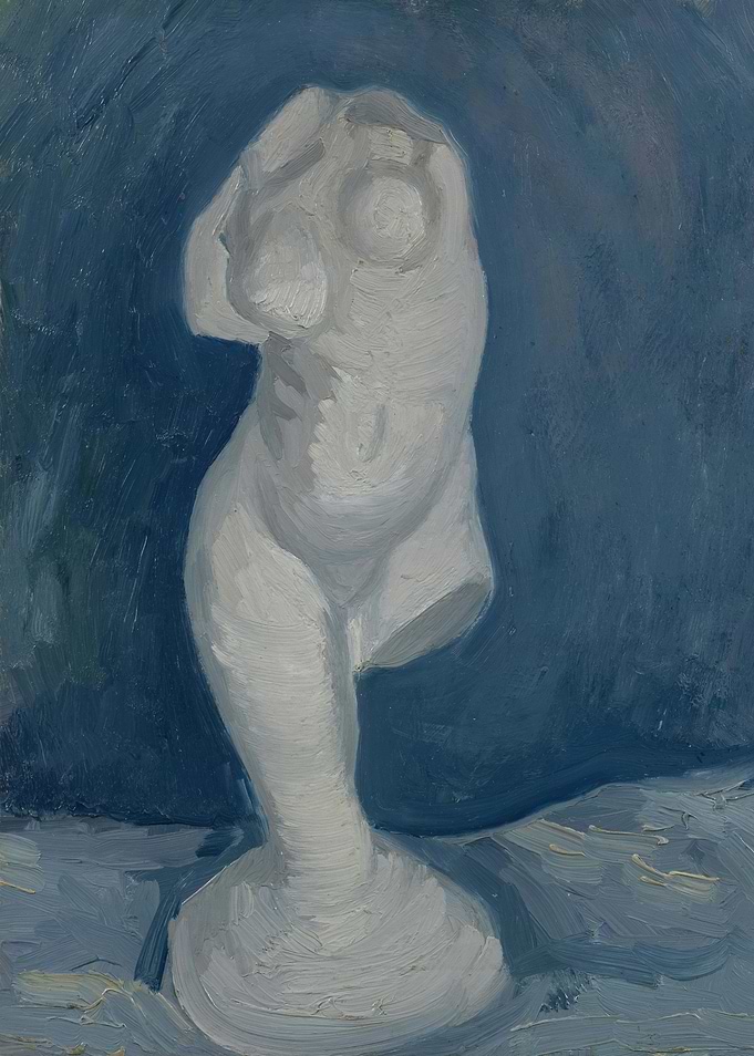 PlasterTorso female in