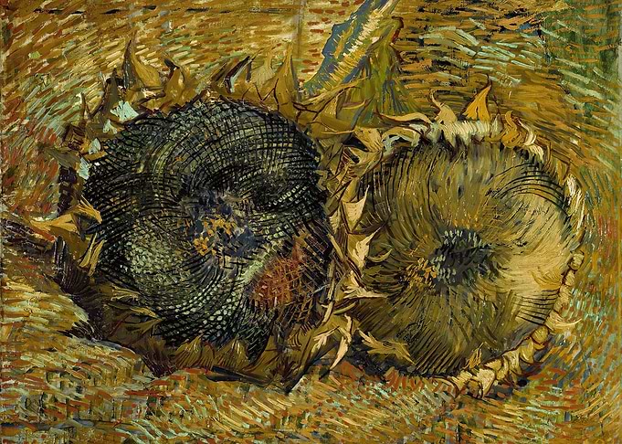 Two Cut Sunflowers 1887