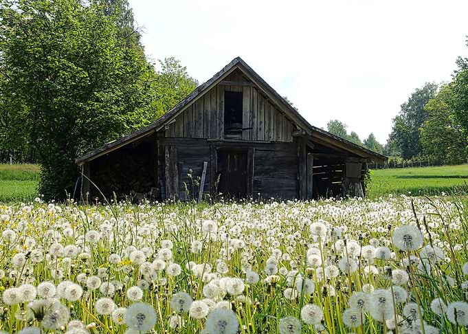 Nature landscape