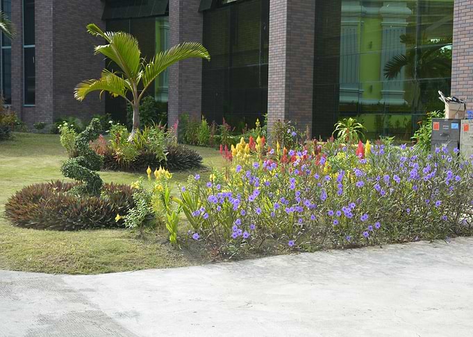 Flower Garden Dvo del Sur