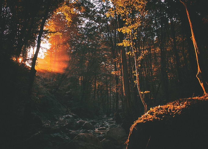 Nature landscape