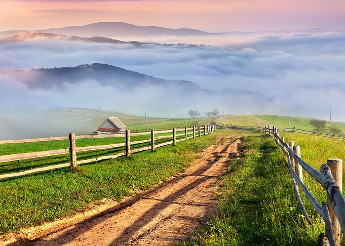 Nature landscape