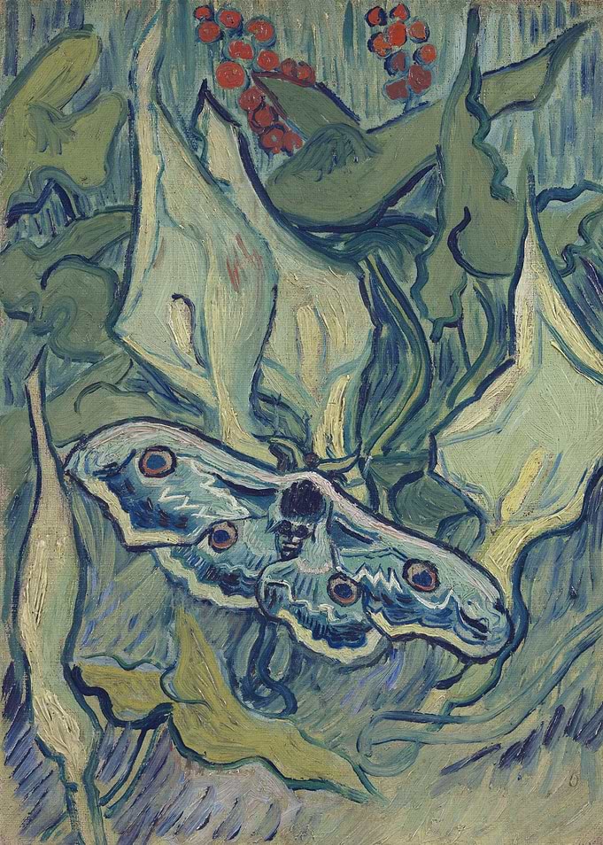 Emperor moth May 1889 1
