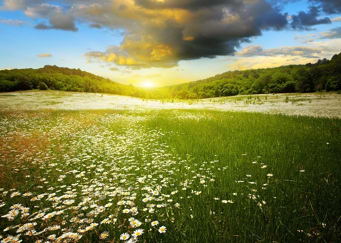 Nature landscape