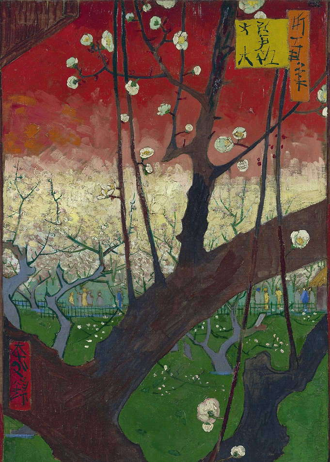 Japanese Plum Tree in Bl