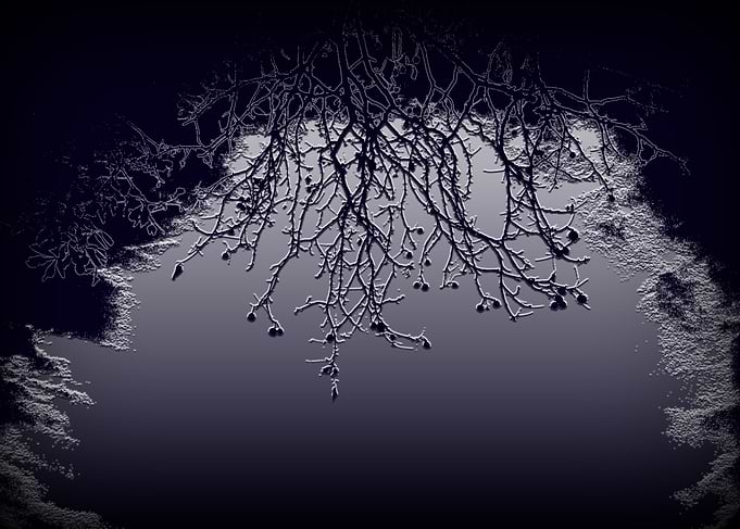 Light and darkness