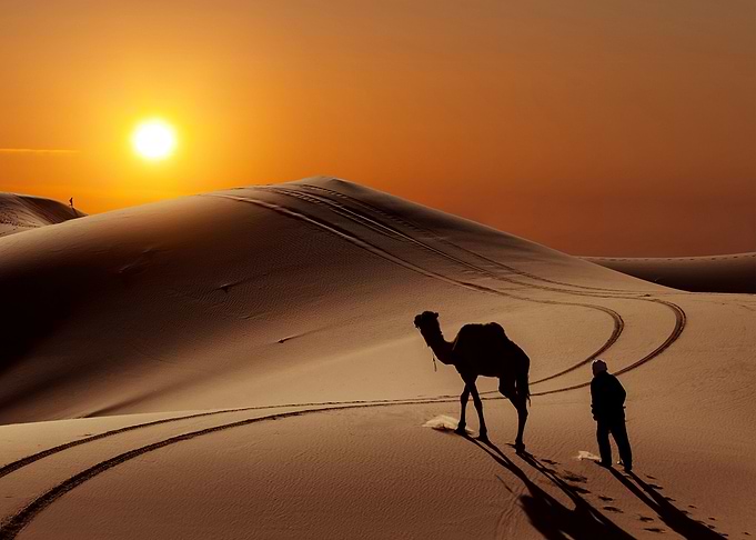 Desert Sunset