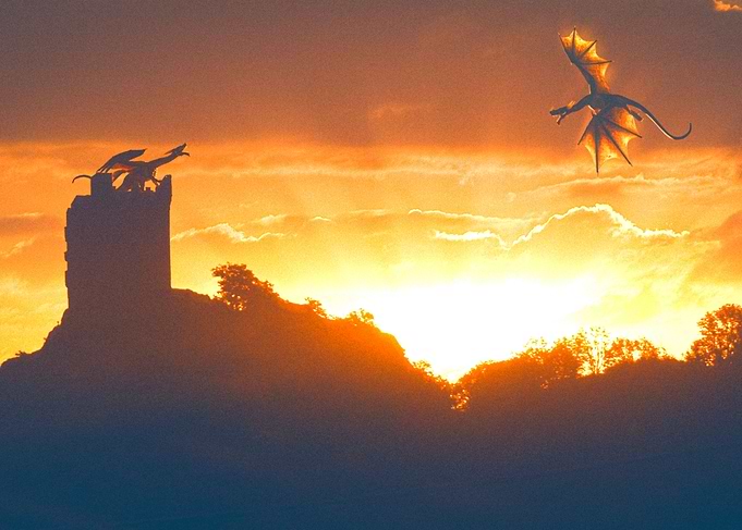 The protector dragons
