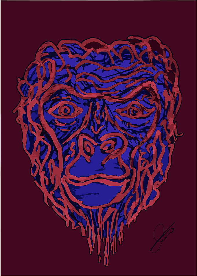 Eyes of a fearless Gorilla