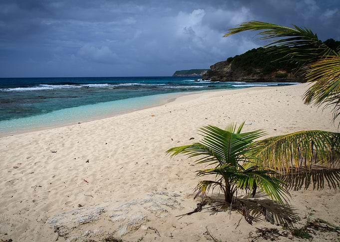 Tropical Beach