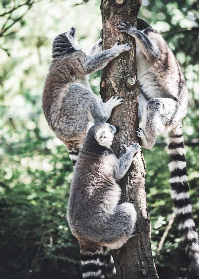 All Together Now