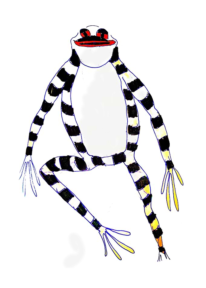 Black and whiteFrog
