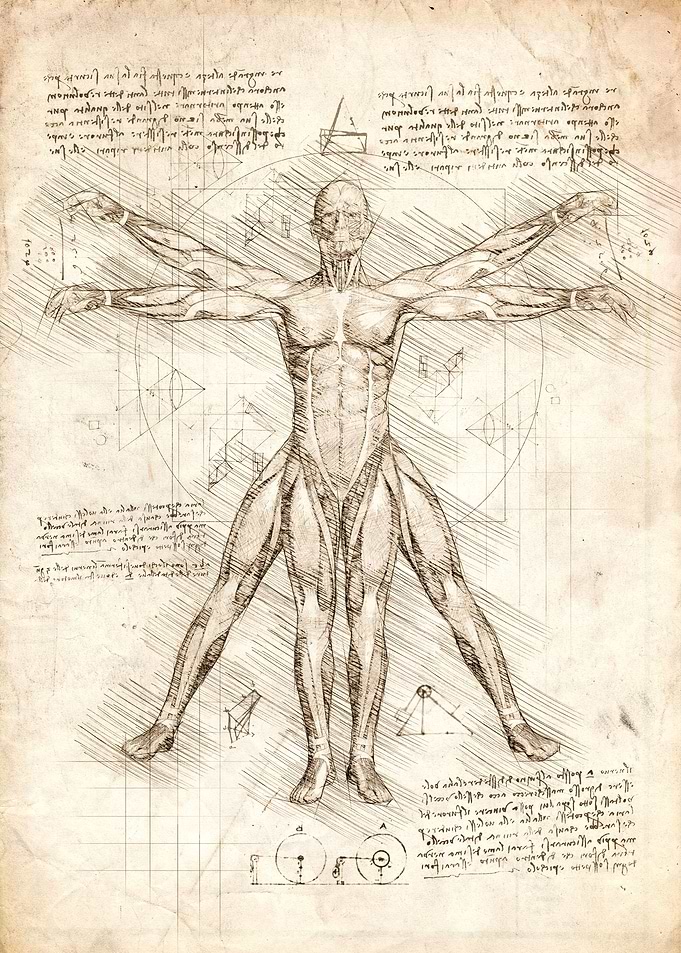 Vitruvian Man