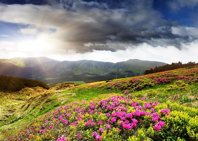 Mountain Landscape