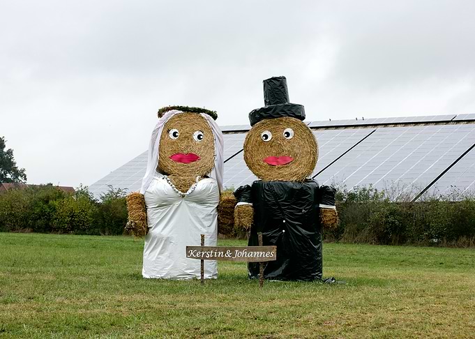 Just married puppets stars