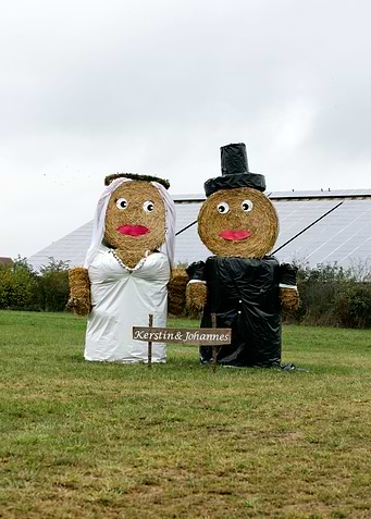 Just married puppets stars