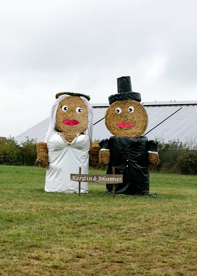 Just married puppets stars