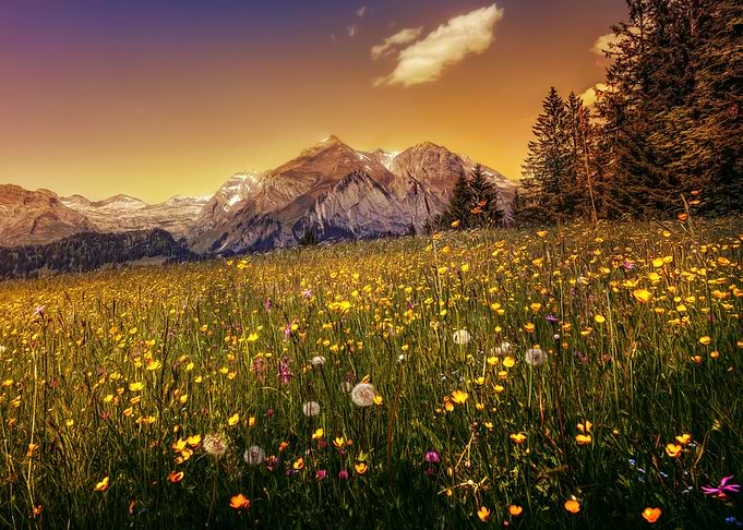 Mountain Landscape