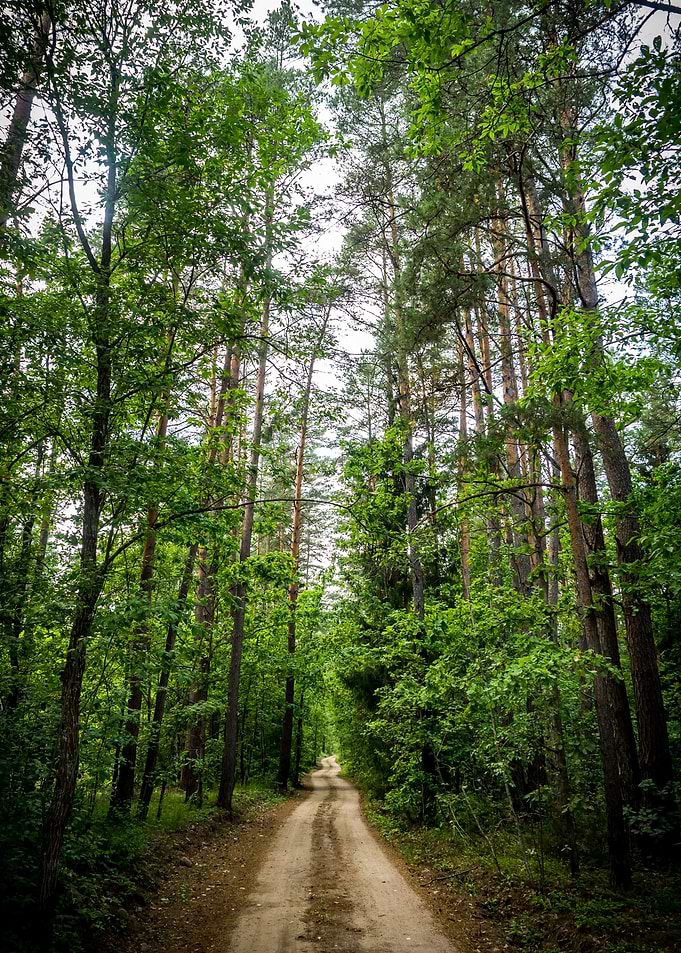 The Road