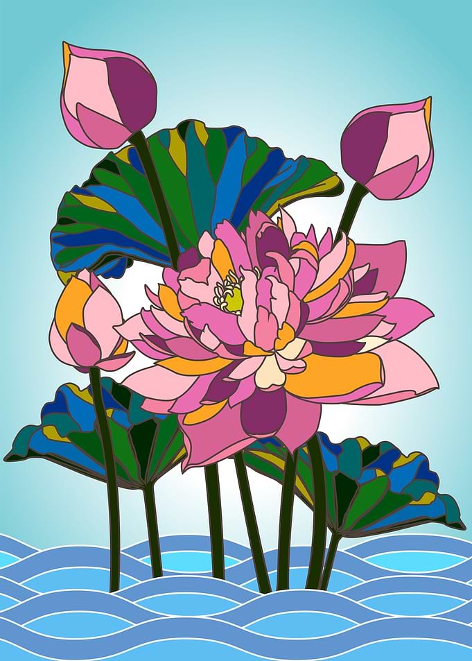 Water Lilly