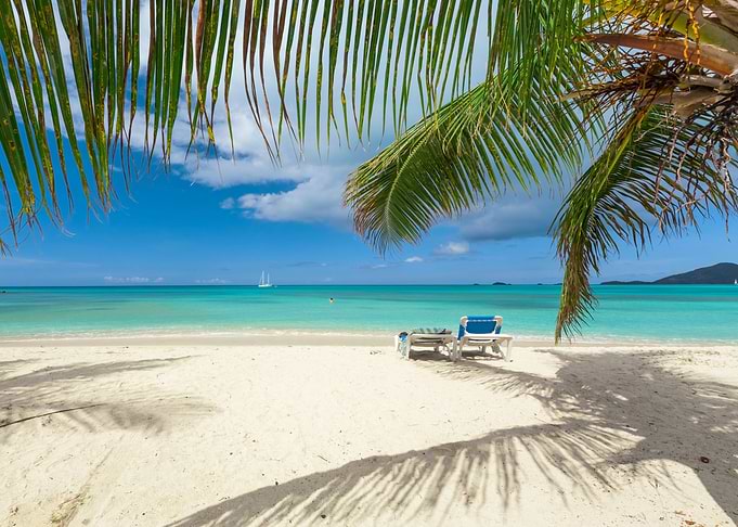 Tropical Beach