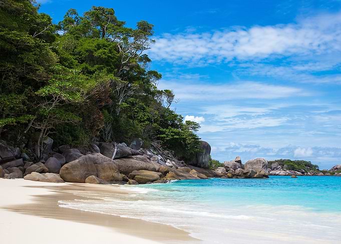 Tropical Beach