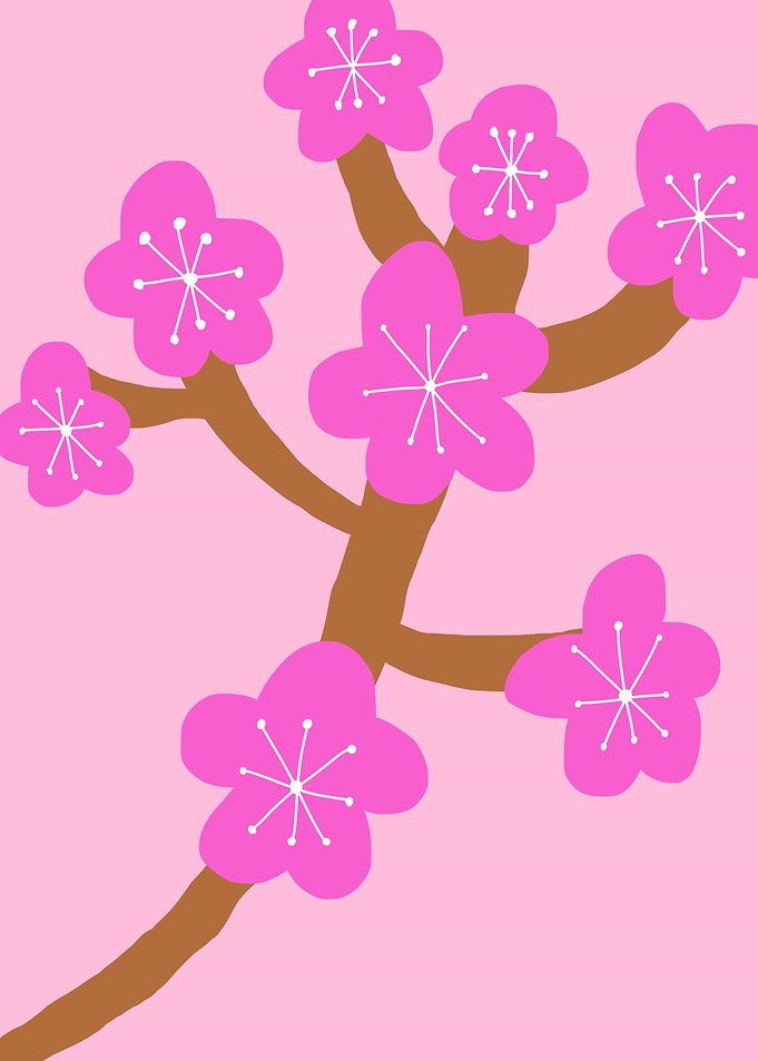 Cherry Blossoms