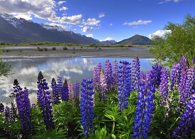 Mountain Landscape