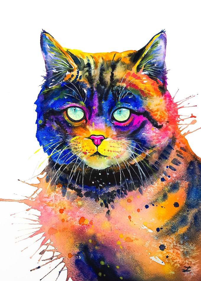 Cat