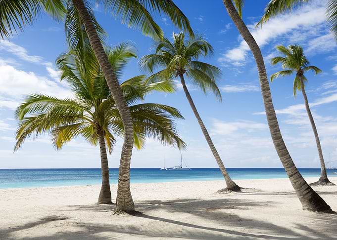 Tropical Beach