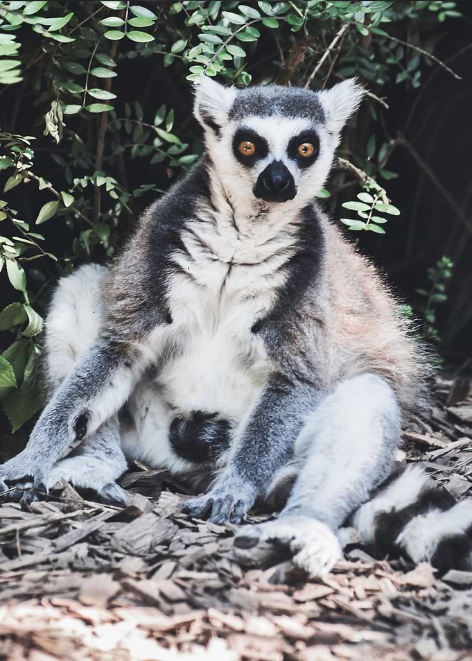 What You Looking At