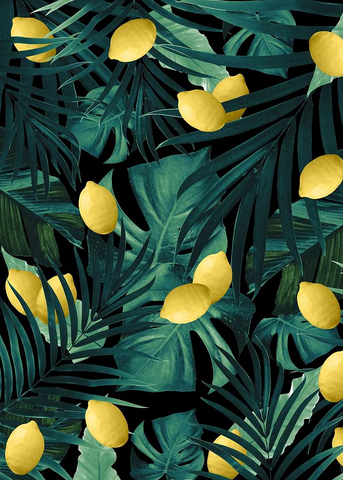 Lemon Twist Jungle Night 1