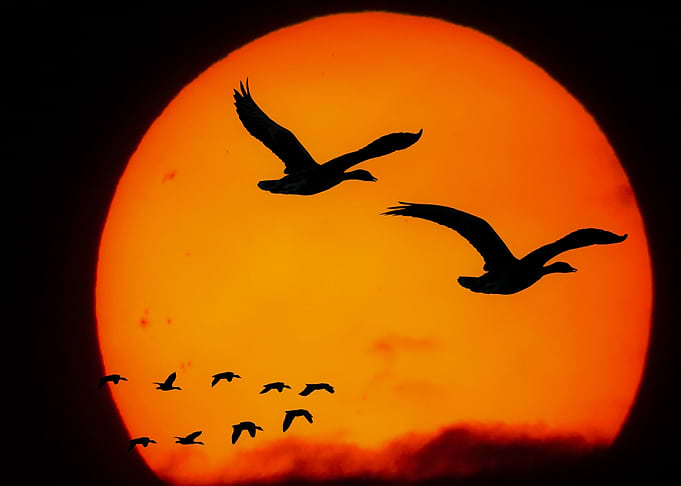Amazing Sun set graphic