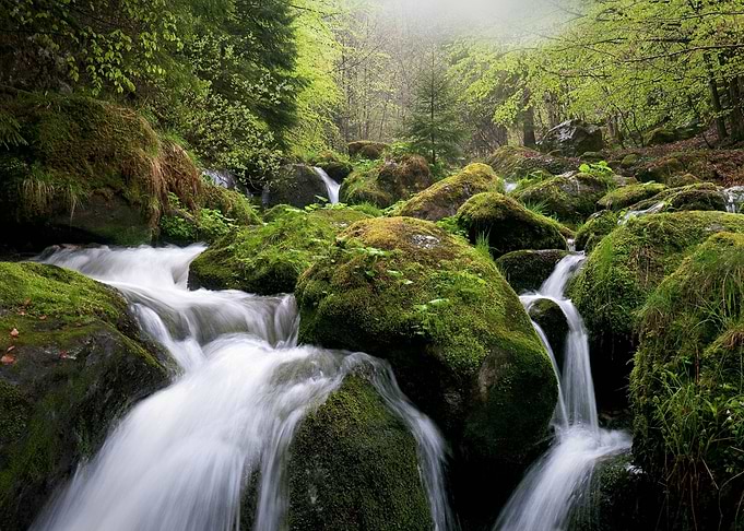 Beautiful Nature Landscape