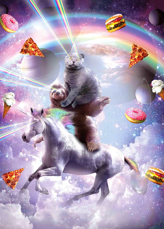 Space Cat On Sloth Unicorn