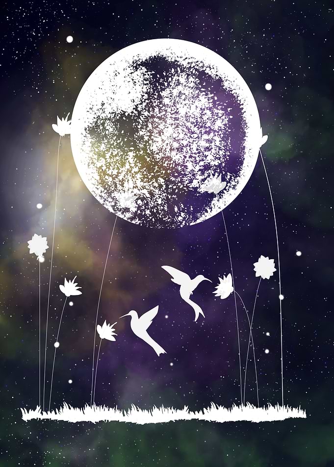 Space and Hummingbird