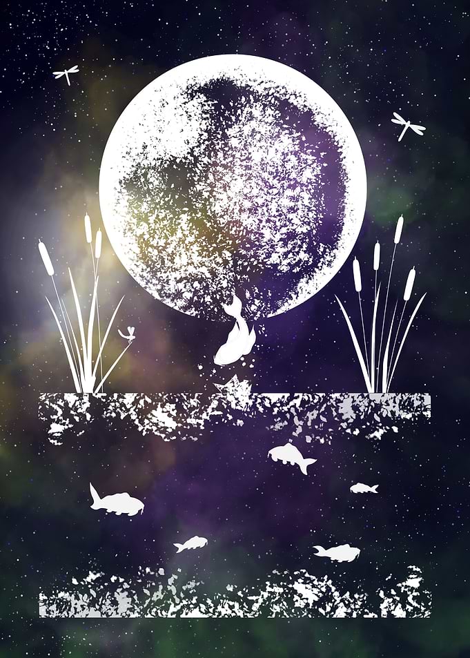 Space and Fish