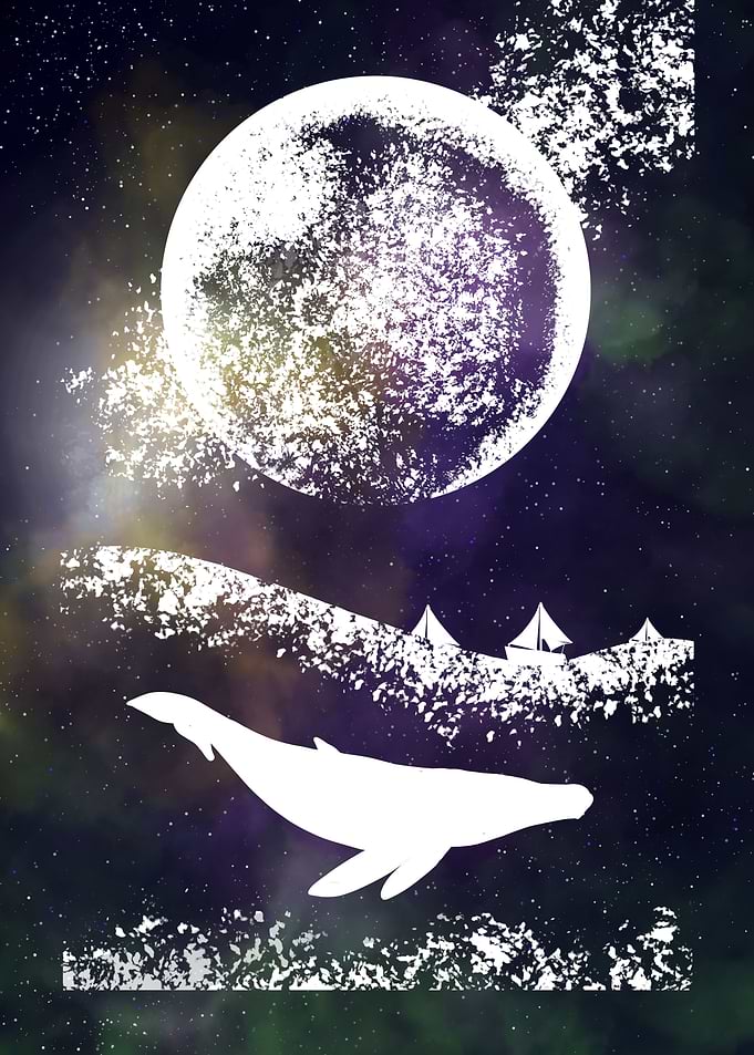 Space and Whale