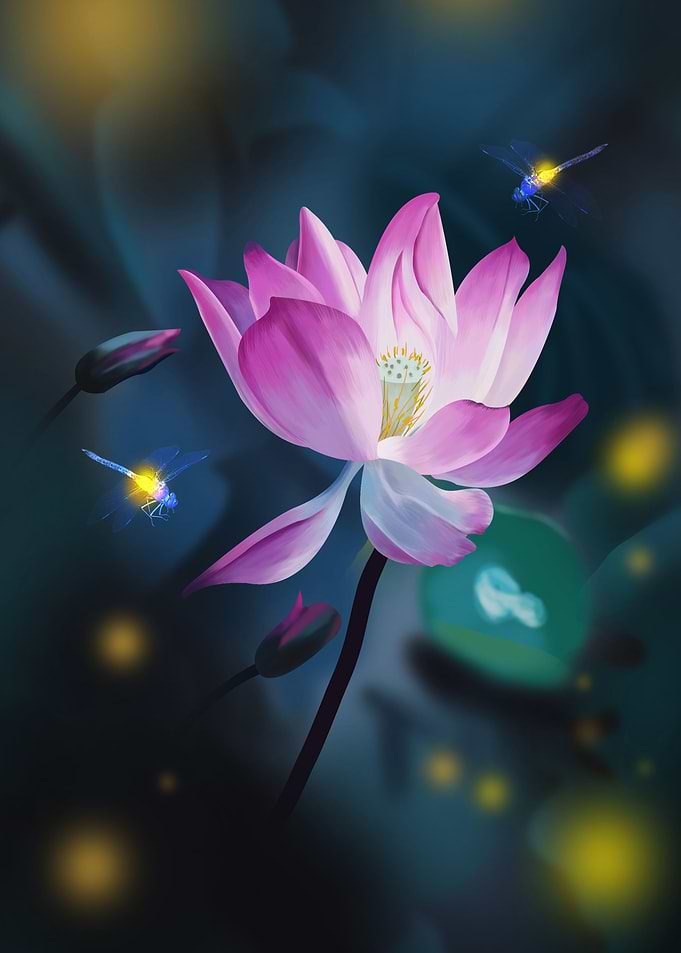 Lotus Flower dragonflys