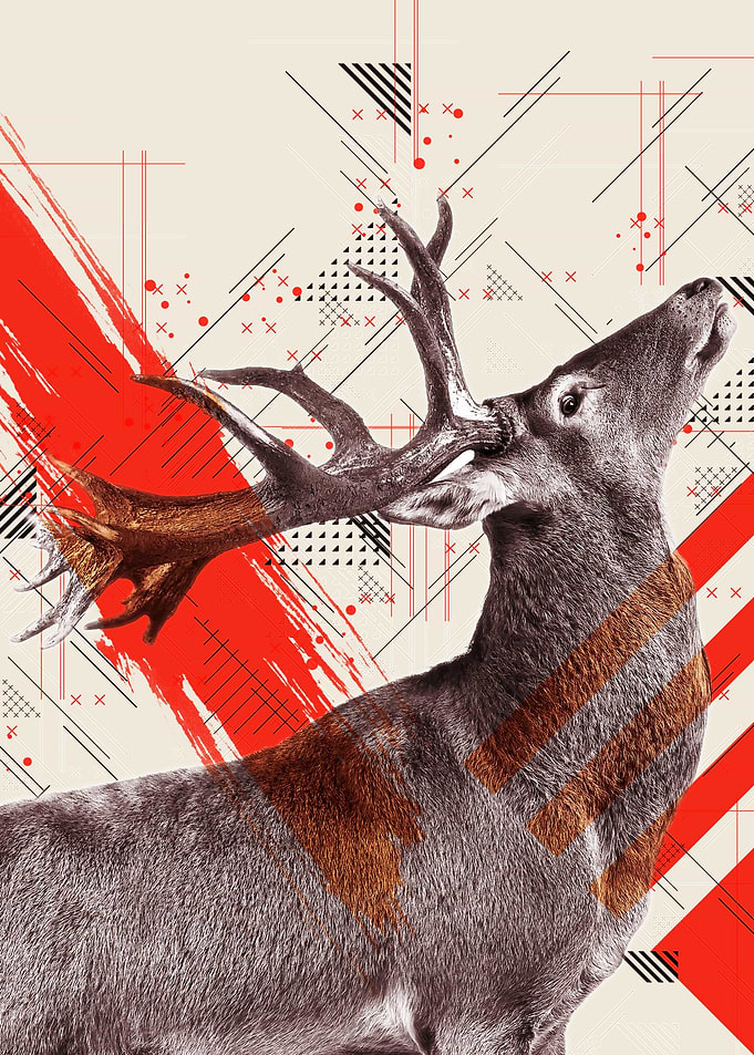 Deer