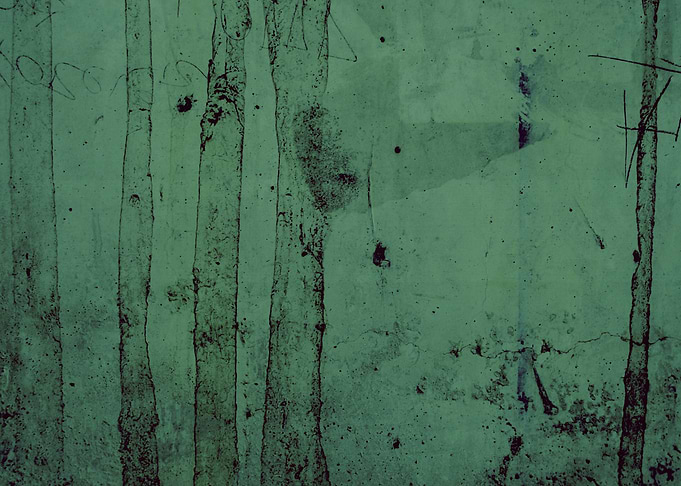 A FOREST 18